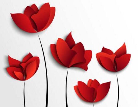 بعض الجمال يولد من البساطة لا من التعقيد