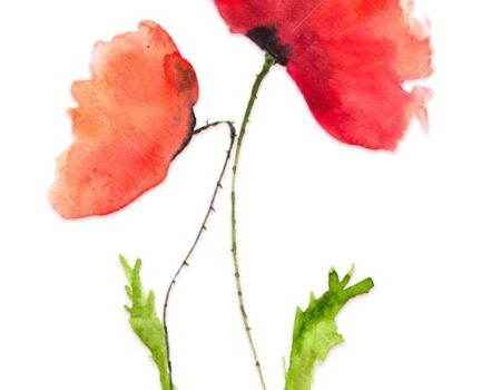 رهافة اللون