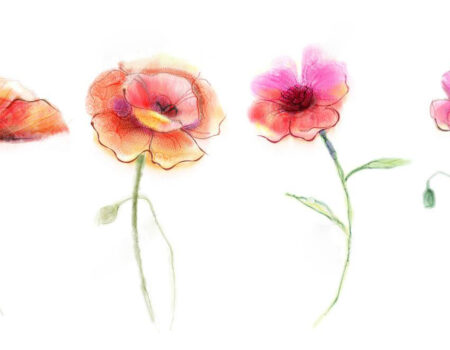 بساطة الحياة