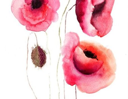 أنفاس الطبيعة